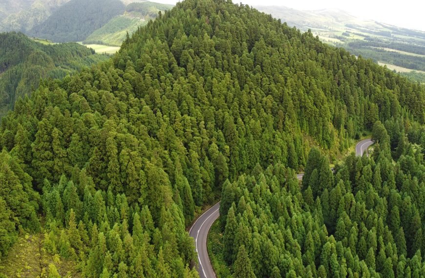 Qué ver en San Miguel, Azores, Portugal