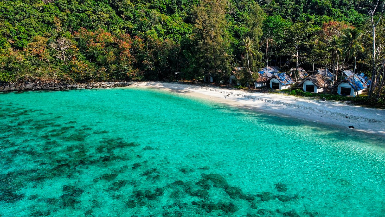 Coral Island