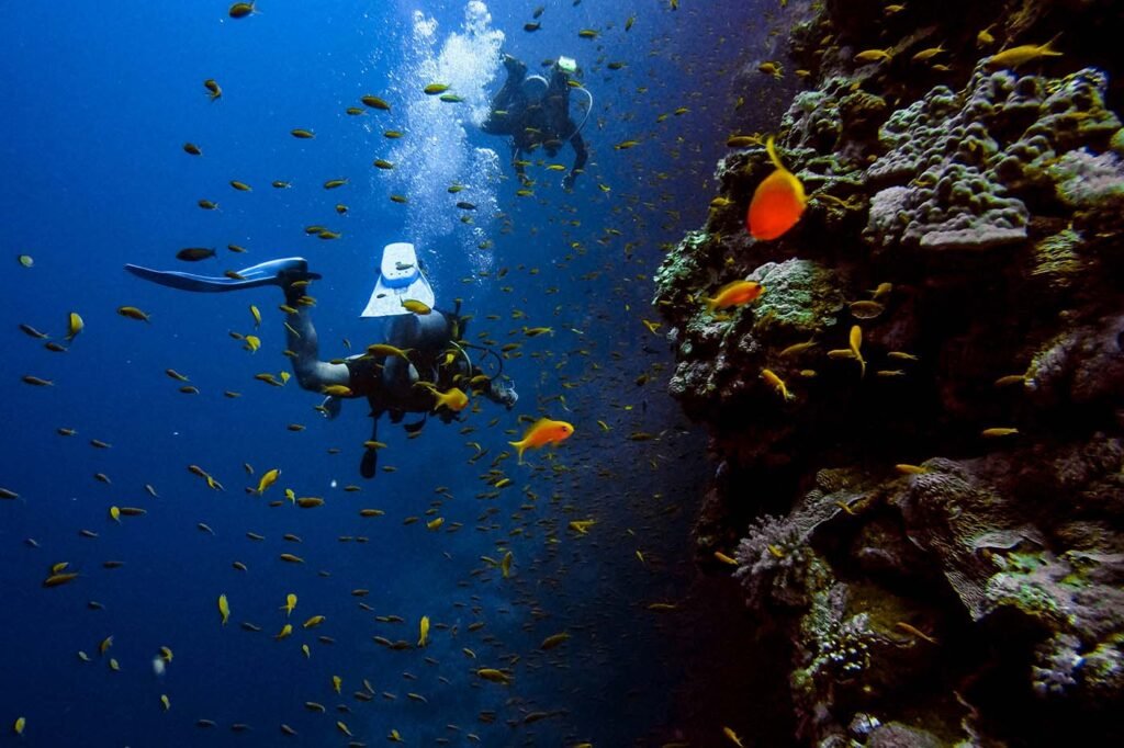 Practicar buceo en Koh Tao