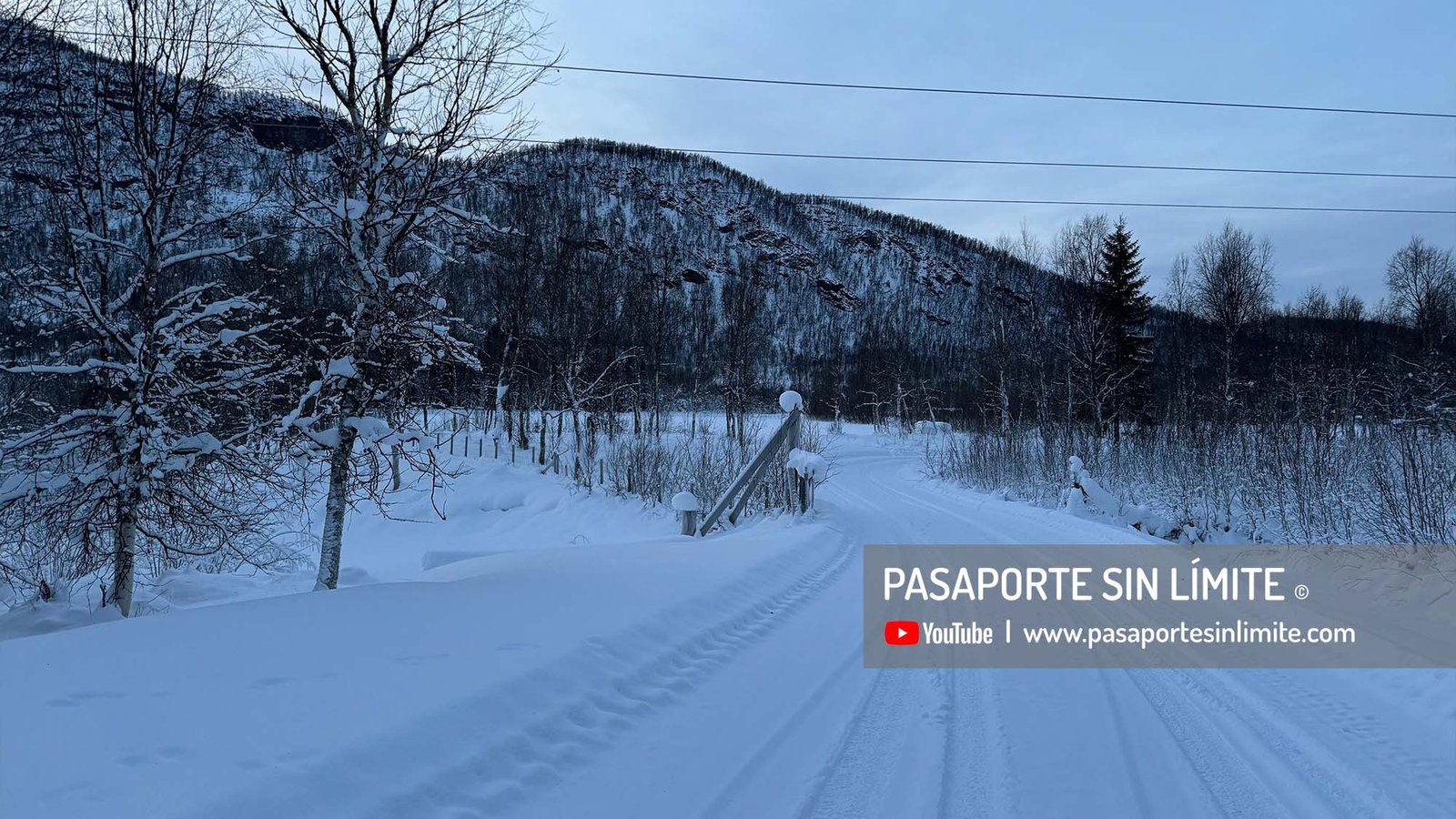 bosques de Noruega